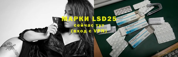 ALPHA PVP Новозыбков